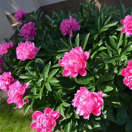 Na Kamiennej Séjour chez l'habitant *