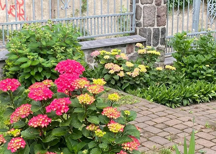 Na Kamiennej * Gdynia